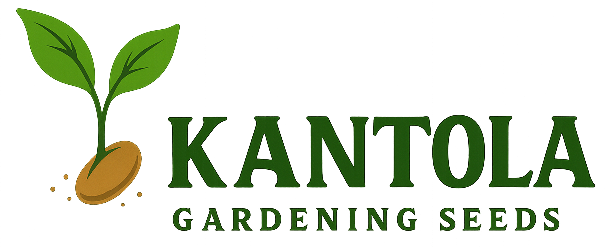 Kantola Seeds