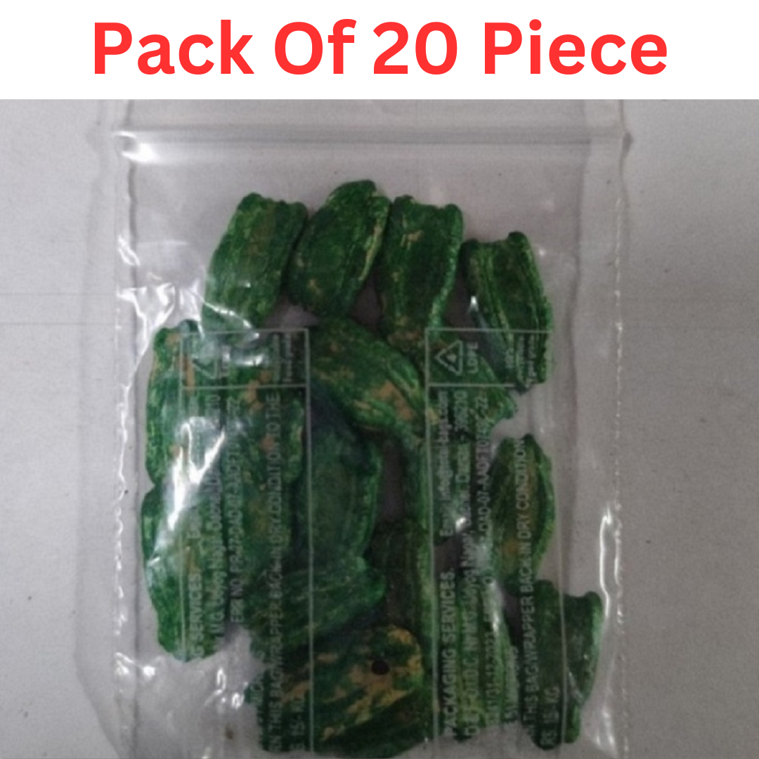 Green Bottle Gourd Round (Lauki, Dudhi, Ghiya ke beej) Vegetable Seeds Pack Of 20 | Organic | for Planting in Home Kitchen Terrace Balcony Gardening - Image 6