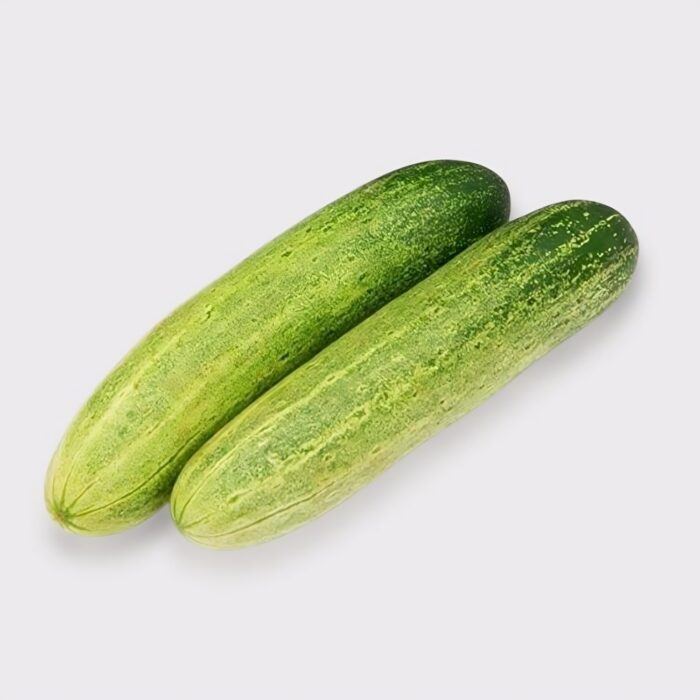 close-up shot of a healthy, plump long green cucumber growing on a vine, surrounded by lush green leaves and bright yellow blossoms in a backyard kitchen garden