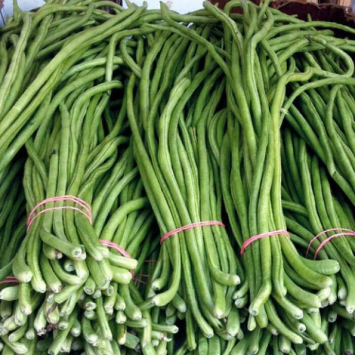 Green Cowpea Black Eyed Beans Lobia Barbatti Vegetable Seeds Pack of 50 Organic Seeds for Home Kitchen Terrace Balcony Gardening