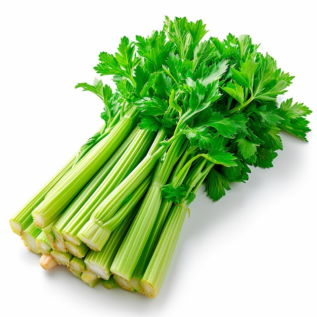 Exotic Green Celery Leaf (Ajmoda Patta ke beej) Vegetable Seeds Pack Of 100 | Organic | for Planting in Home Kitchen Terrace Balcony Gardening