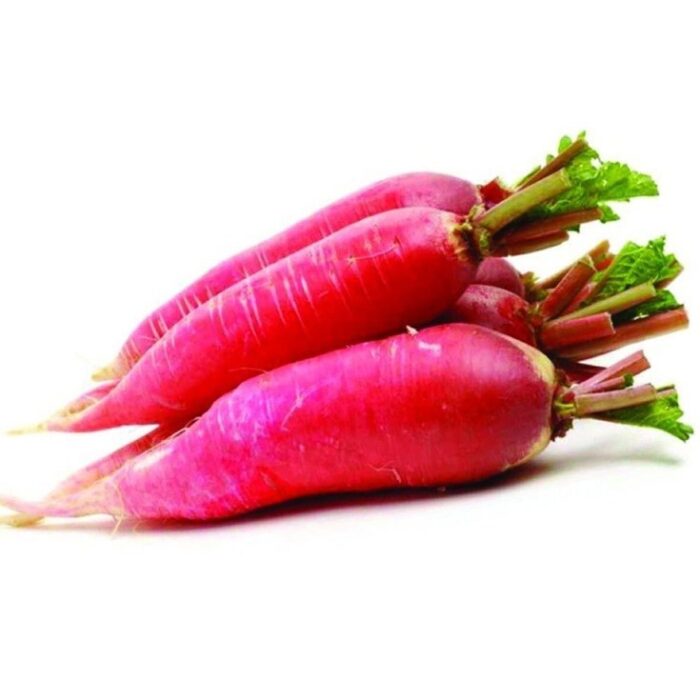 Red Radish long Vegetable Seeds Pack Of 50 | Organic | for Planting in Home Kitchen Terrace Balcony Gardening
