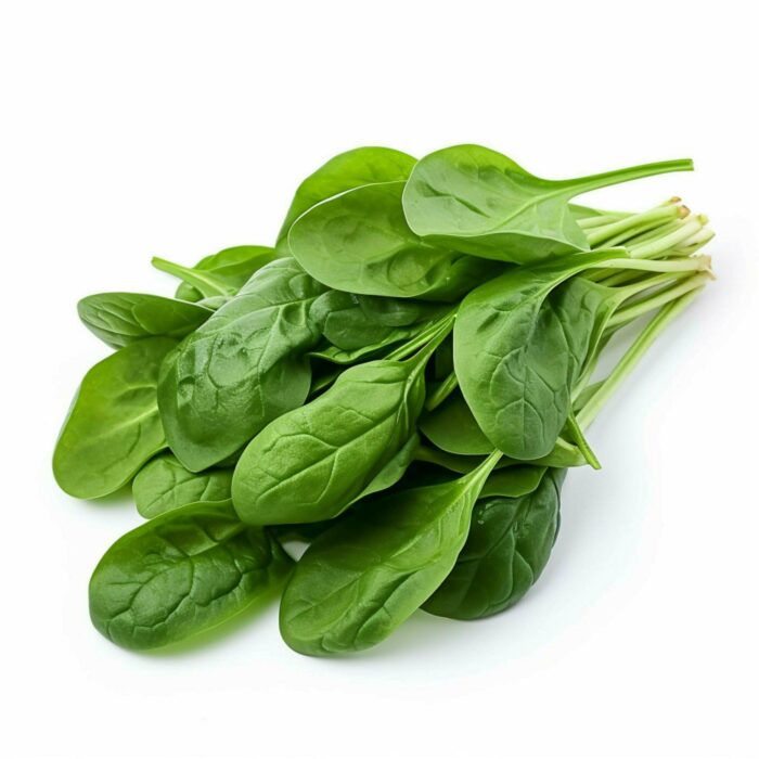 Green Spinach (Hare Palak Ke Beej) Vegetable Seeds Pack Of 200 | Organic | for Planting in Home Kitchen Terrace Balcony Gardening