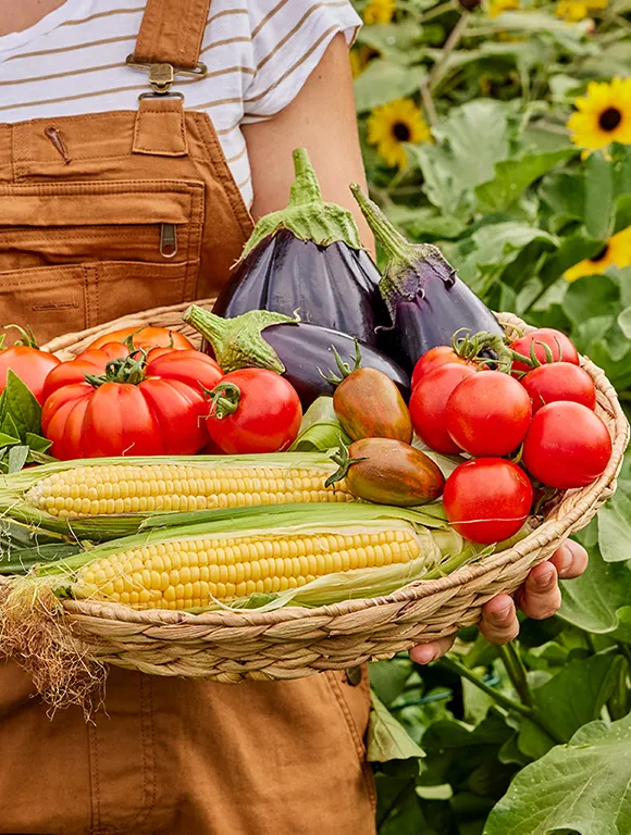 Harvesting_Vegetables_1