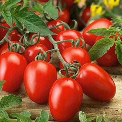 resized_tomato_image_416x416