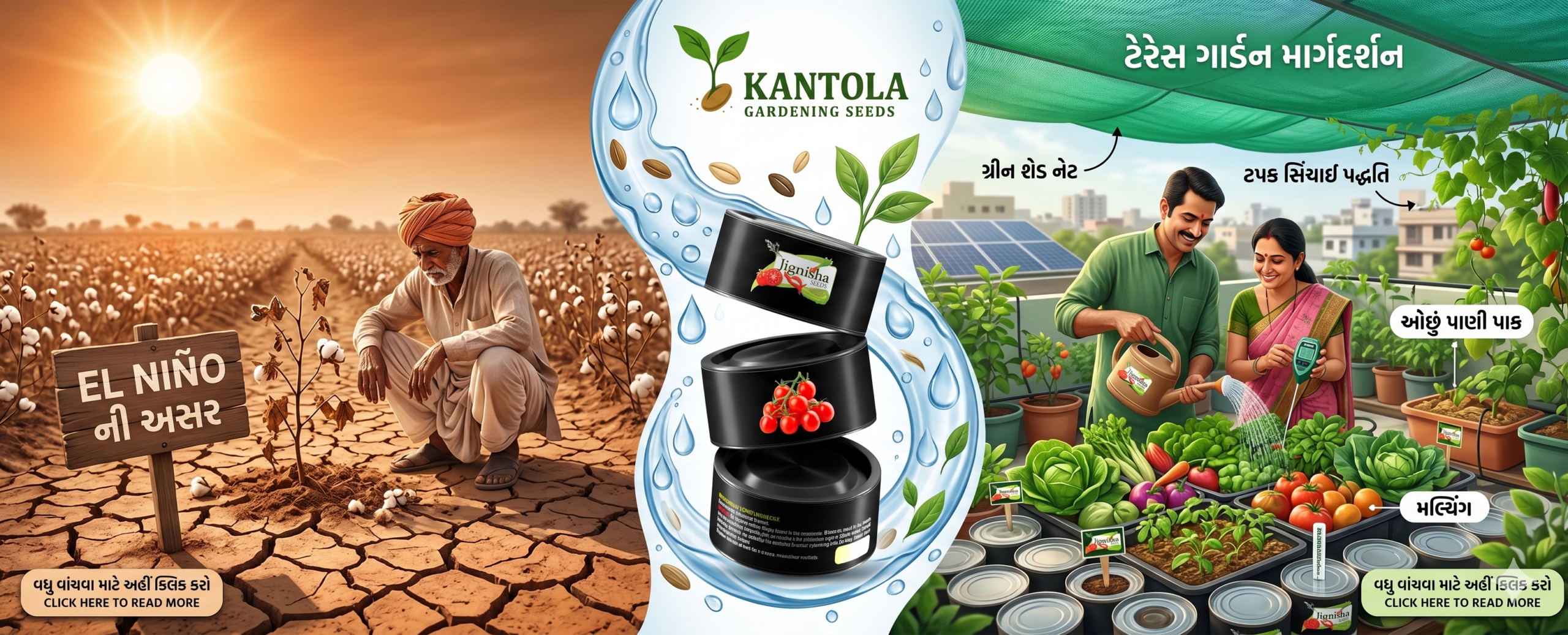 El Nino impact on farming Gujarat, water saving gardening tips, buy drought resistant seeds India, El Nino meaning in Gujarati, terrace garden care in summer, Jignisha seeds cherry tomato